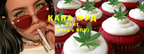 дмт Краснослободск