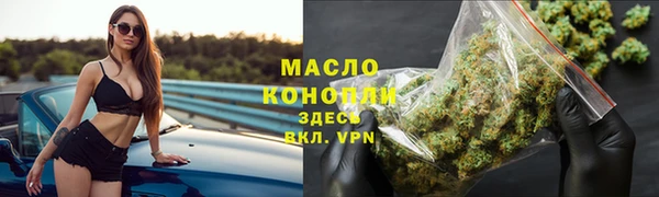 дмт Краснослободск