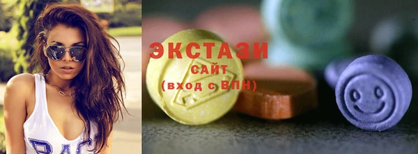 дмт Краснослободск