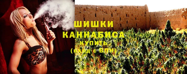дмт Краснослободск