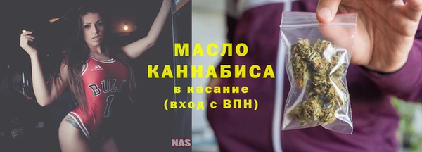 дмт Краснослободск