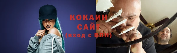 дмт Краснослободск