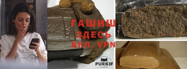 дмт Краснослободск
