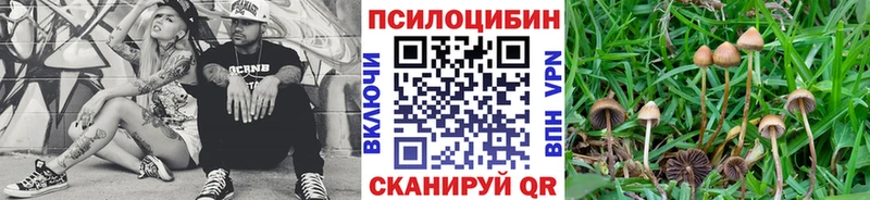 Галлюциногенные грибы MAGIC MUSHROOMS  Купить закладки  Аша 